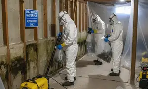 Mold remediation service widget for water damage restoration in Visalia, CA